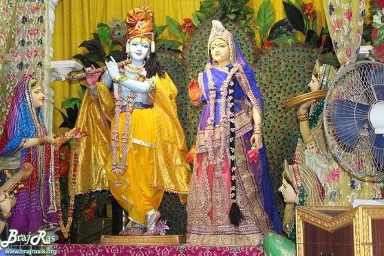 Glimpses of Shri Shyama Shyam (Radha Krishn) Deities at Shyama Shyam Dham, Vrindavan.