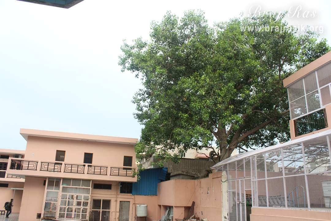Inside view of Shyama Shyam Dham, Vrindavan.