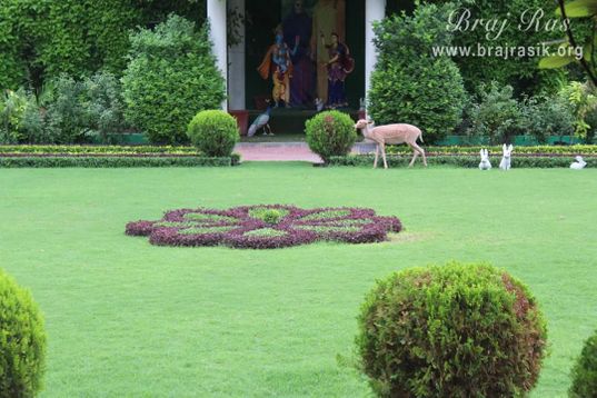 Shri Radha Krishn in Garden of Shyama Shyam Dham, Vrindavan.