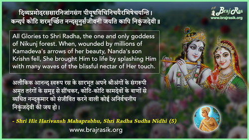 दिव्यप्रमोदरससारनिजांगसंग - श्री हित हरिवंश महाप्रभु, श्री राधा सुधा निधि (5)
