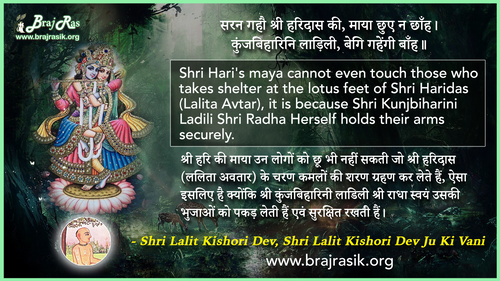 सरन गहौ श्री हरिदास की - श्री ललित किशोरी देव जू की वाणी, सिद्धान्त की साखी (260)