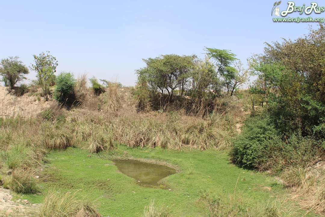 Near Mandir Mohan Bihari Leela place at Bhojan Thali, Kamyavan, Braj