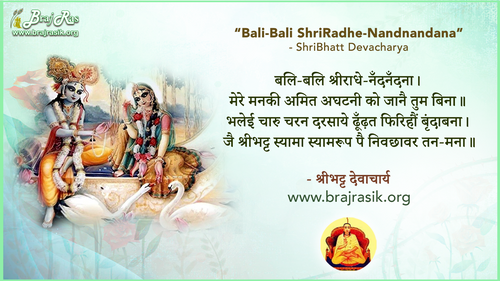 बलि-बलि श्रीराधे-नँदनँदना - श्रीभट्ट देवाचार्य