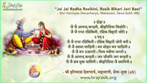 जै जै आनन्द कन्दनी, श्रीहरिप्रिया किसोरि - श्री हरिव्यास देवाचार्य, महावाणी, सेवा-सुख (48)