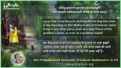 Varamih Vrindaranye Suvaraki Madanmohanadvaari - Shri Prabodhanand Saraswati, Vrindavan Mahimamrit (2.67)