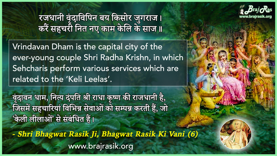 रजधानी वृंदाविपिन - श्री भगवत रसिक की वाणी, श्री नित्यविहारी जुगल ध्यान (6)