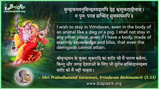 Vrindavanamanuvindaamyahamapi Deham - Shri Prabodhanand Saraswati, Vrindavan Mahimamrit (3.53)