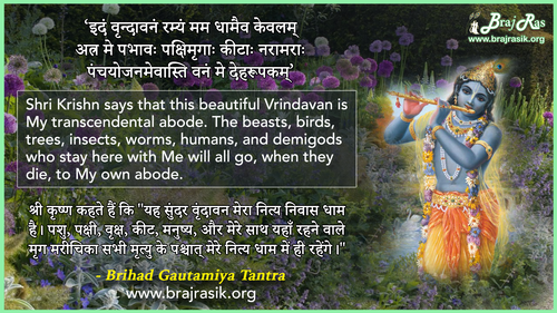 Idam Vrindavanam Ramyam - Brihad Gautamiya Tantra
