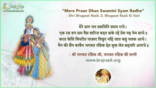 Mere Praan Dhan Swamini Syam Radhe - Shri Bhagwat Rasik Ji, Bhagwat Rasik Ki Vani, Ananyarasikabharan Granth (2.7)