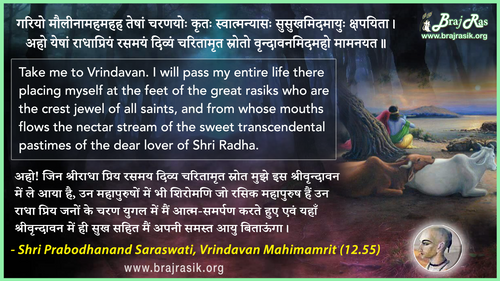 गरियो मौलीनामहमहह तेषां चरणयोः कृतः - श्री प्रबोधानन्द सरस्वती, वृन्दावन महिमामृत (12.55)