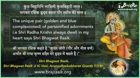 Kunj Biharini Ladili Kunjbihari Laal - Shri Bhagwat Rasik Ji, AnanyaRasikabharan Granth 1 (18)