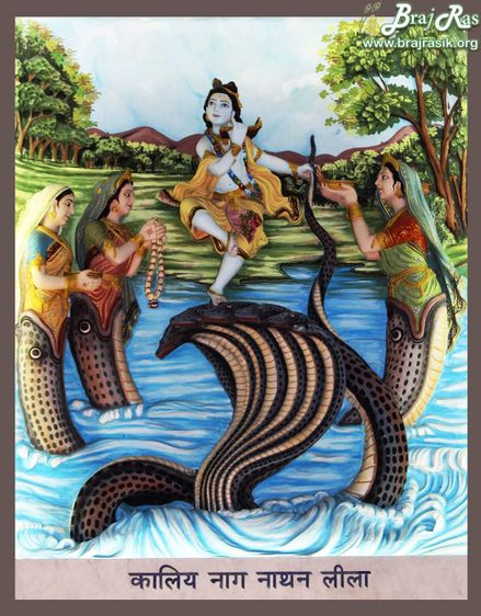 Shri Krishn dancing on Kaliya Naag's head:Kaliya was the poisonous Snake(Naga) living in the Yamuna River, in Vrindavan. Once Krishna and herdboys were playing ball, and while playing Krishna climbed up the Kadamba tree and hung over the river bank, the ball fell into the river and Krishna jumped after it. Kaliya rose up with his hundred and ten hoods vomiting poison and wrapped himself around Krishna's body. Krishn became so huge that Kaliya had to release him. So Krishna saved himself from every attack, and when he saw the Brij Wasis were so much afraid he suddenly sprang into Kaliya's head and assumed the weight of the whole universe, and danced on the naga's heads, beating him with his feet. This leela is very melodious and unique because no one has ever danced in a way Shri Krishna danced on Kaliya Naag's head while Kaliya Naag was moving to save his life. The same Beautiful leela is depicted on the outer wall of Prem Mandir.