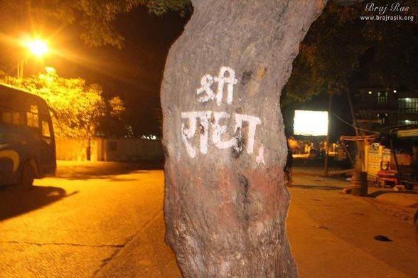 Random click of Shri Radha name in the trees of Vrindavan at night.