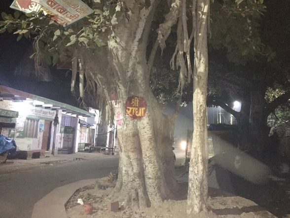Random click of Shri Radha names in various trees of Vrindavan at night.