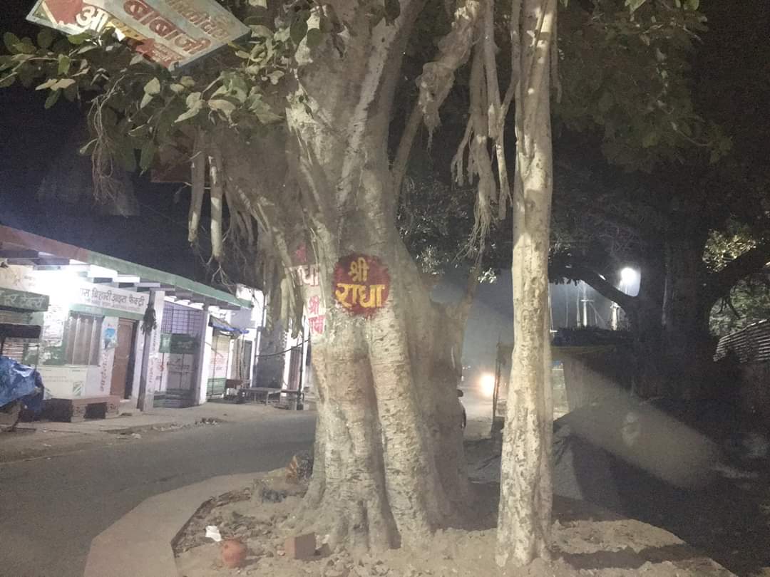 Random click of Shri Radha names in various trees of Vrindavan at night.