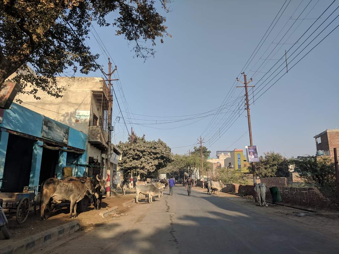 Parikrama Marg, Vrindavan.
