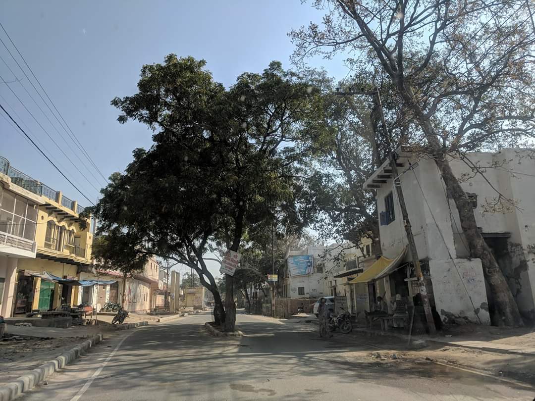 Parikrama Marg, Vrindavan near Tatiya Sthan.