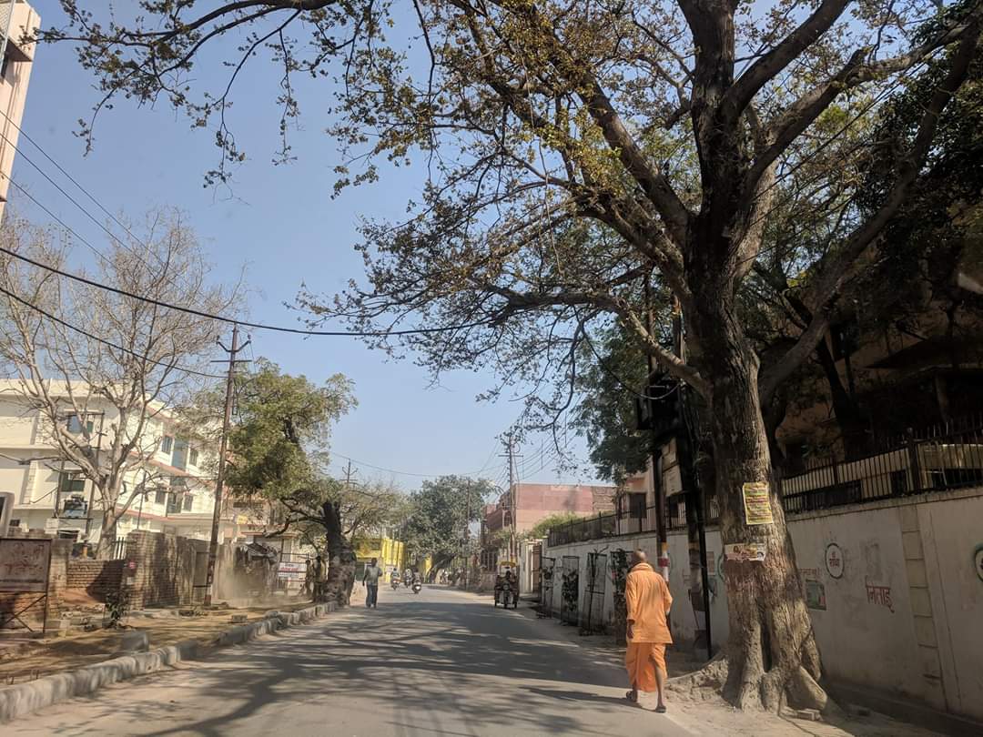 Parikrama Marg, Vrindavan near Madan Ter