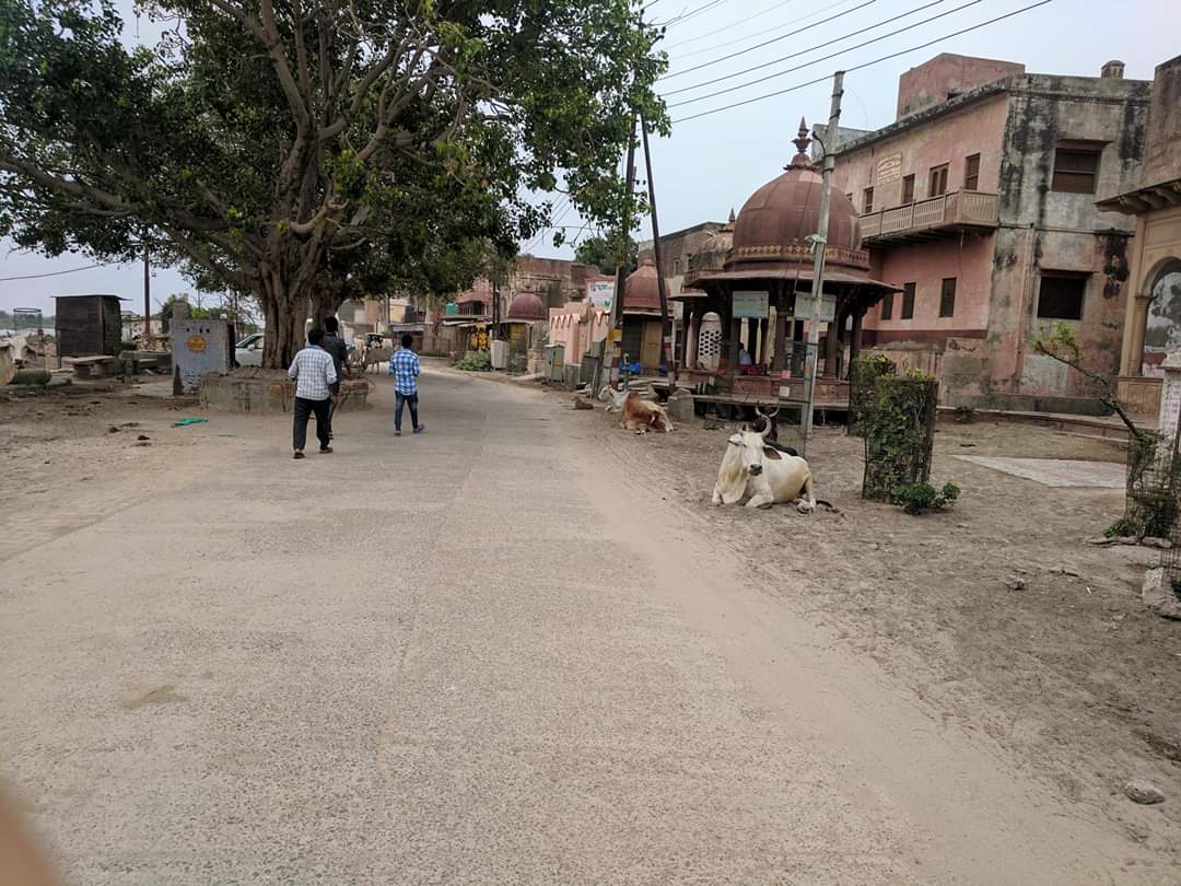 Parikrama Marg, Vrindavan near Yamuna ji.