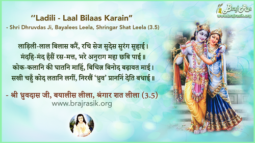 लाड़िली-लाल बिलास करैं - श्री ध्रुवदास जी, बयालीस लीला, श्रंगार शत लीला (3.5)