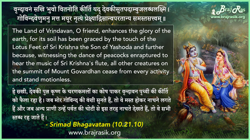 वृन्दावनं सखि भुवो वितनोति कीर्तिं - श्रीमद भागवतम् (10.21.10)
