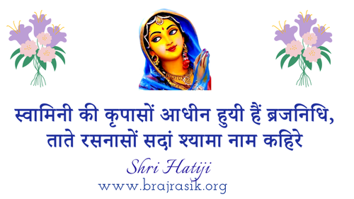 Swamini Ki Kripason Aadheen Huyi Hain Brajnidhi - Shri Braj Nidhi Ji, Braj Nidhi Granthawali, Hari Pad Sangrah (50)