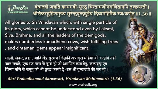 वृंदाटवी जयति कामगवी - श्री प्रबोधानन्द सरस्वती, वृन्दावन महिमामृत (1.36)