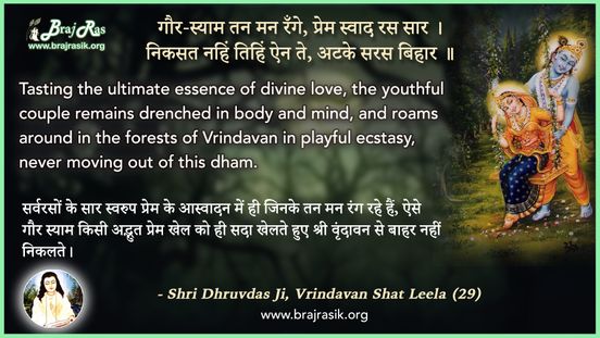 Gaur Shyam Tan Mana range - Shri Dhruvdas Ji, Vrindavan Shat Leela (29)