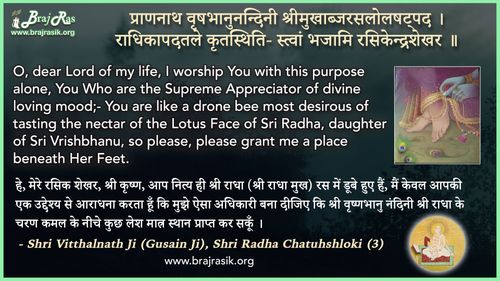 Prannath Vrishbhanu Nandini - Shri Vitthalnath Ji, Shri Radha Chatuhshloki (3)