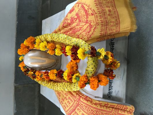Samadhi darshan of Shri Prabhodanand Sarasvati Ji