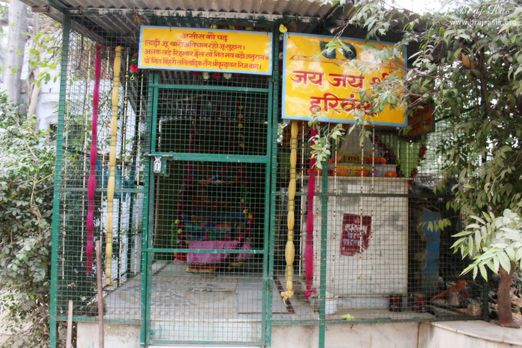 Shri Hita Harivansh Mahaprabhu performed his bhajan here and written the verses of Shri Hita Chaurasi below this 'Vata' tree. 