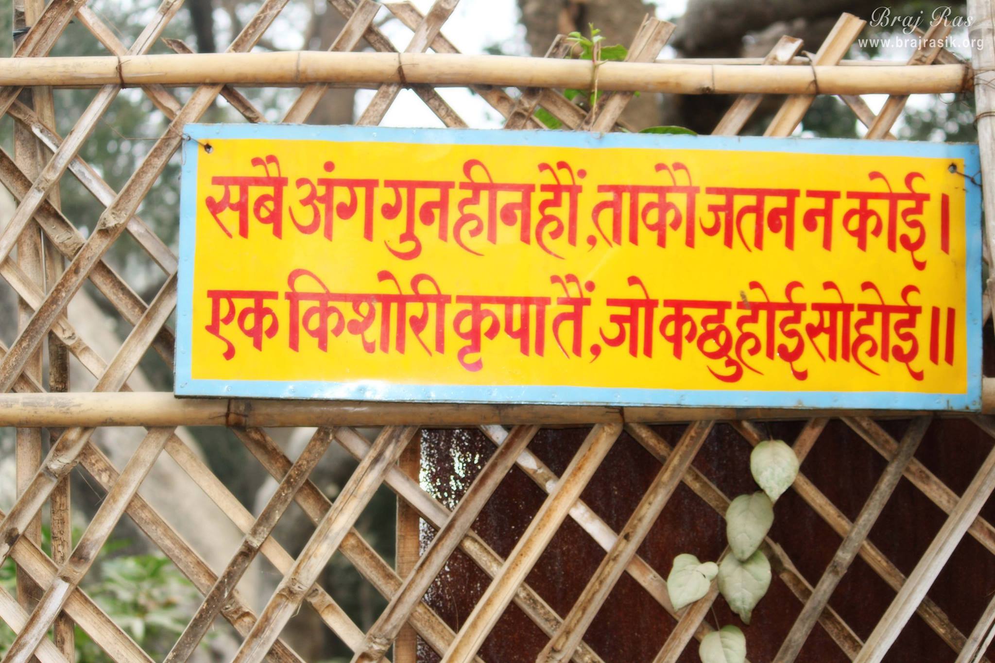 चारों ओर वृंदावन शत लीला के दोहे लिखे हुए हैं।