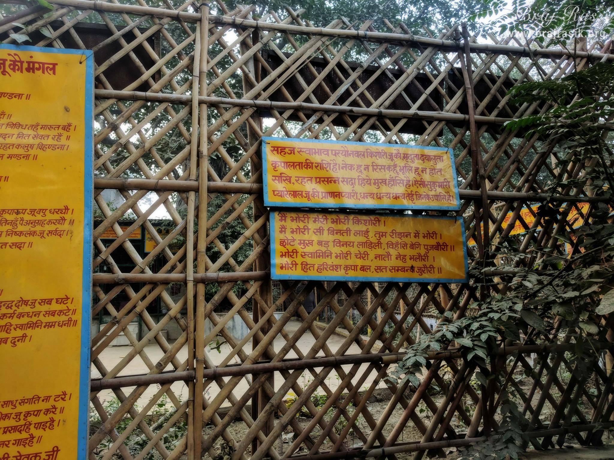 Glimpses of Bayalees Leela and Bhori Sakhi's pad written at Madan Ter, Vrindavan