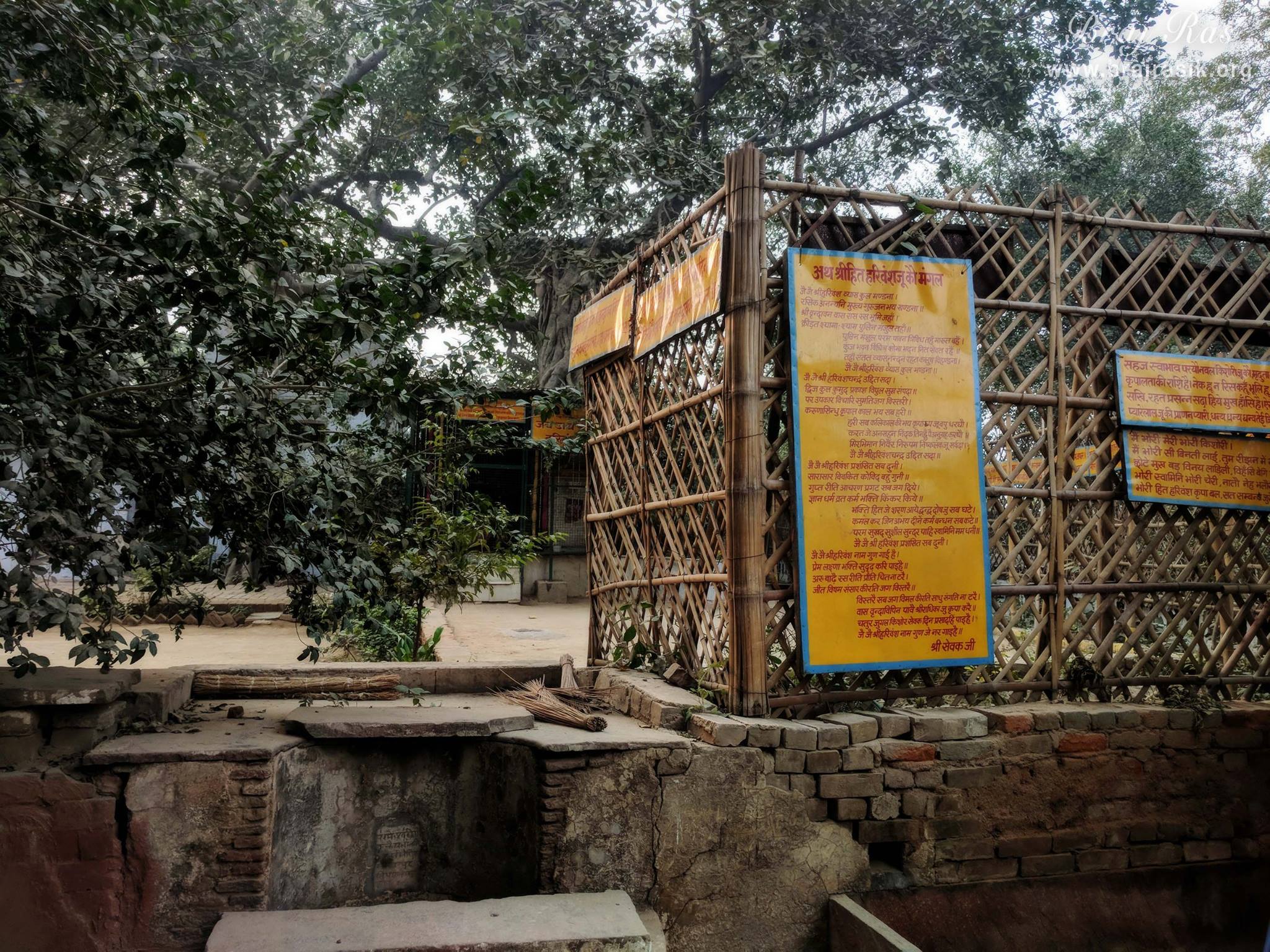 Shri Hita Harivansh Ju Ko Mangal at Madan Ter, Vrindavan