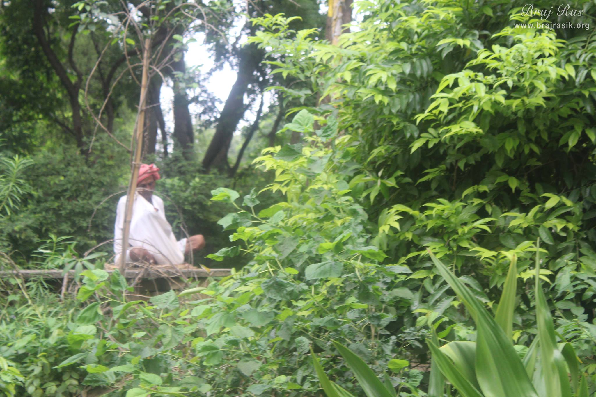 Devotee performing bhajan at Madan Ter