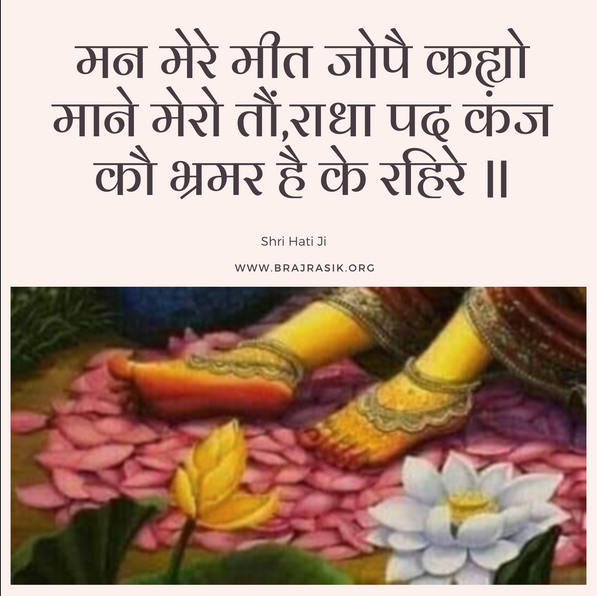 मन मेरे मीत जोपै कह्यो माने मेरो तौं - श्री ब्रज निधि जी, ब्रज निधि ग्रंथावली, हरि पद संग्रह (50)