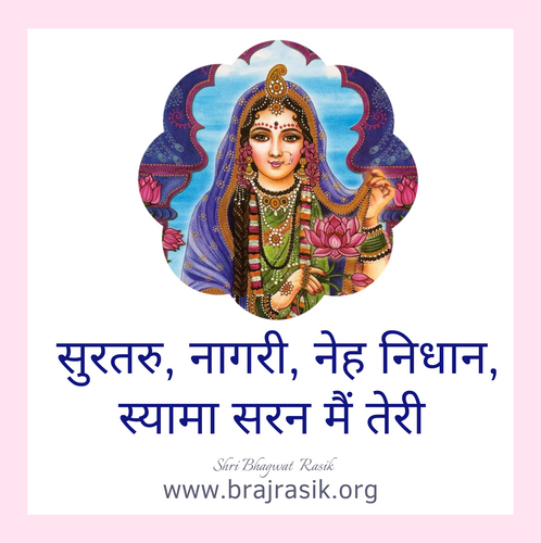 Surtaru, Nagari, Neh Nidhaan, Shyama Sharan Main Teri