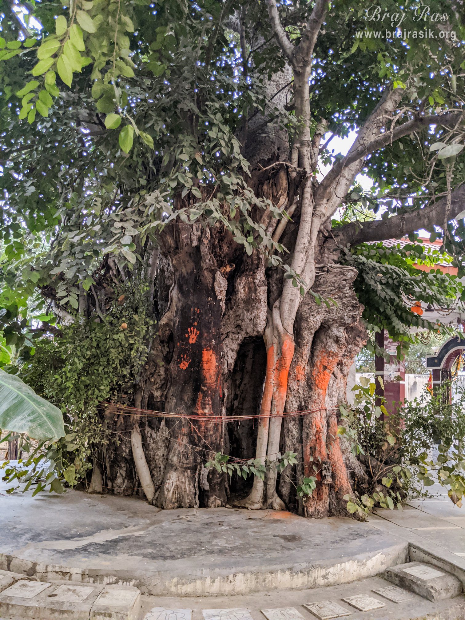 Near Akrur Ghat, Vrindavan. 