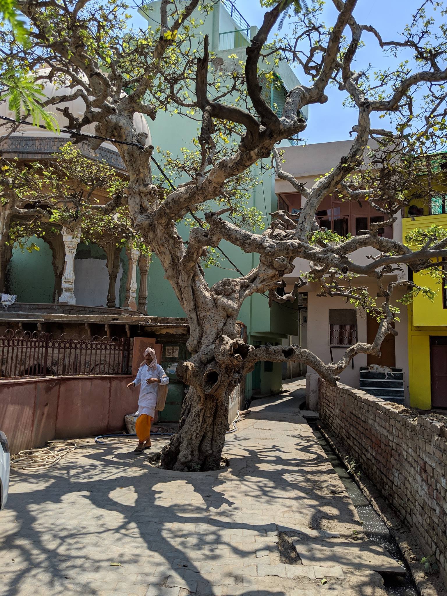 वृंदावन में श्री बांके बिहारी मंदिर के आसपास की कुंज गली।
