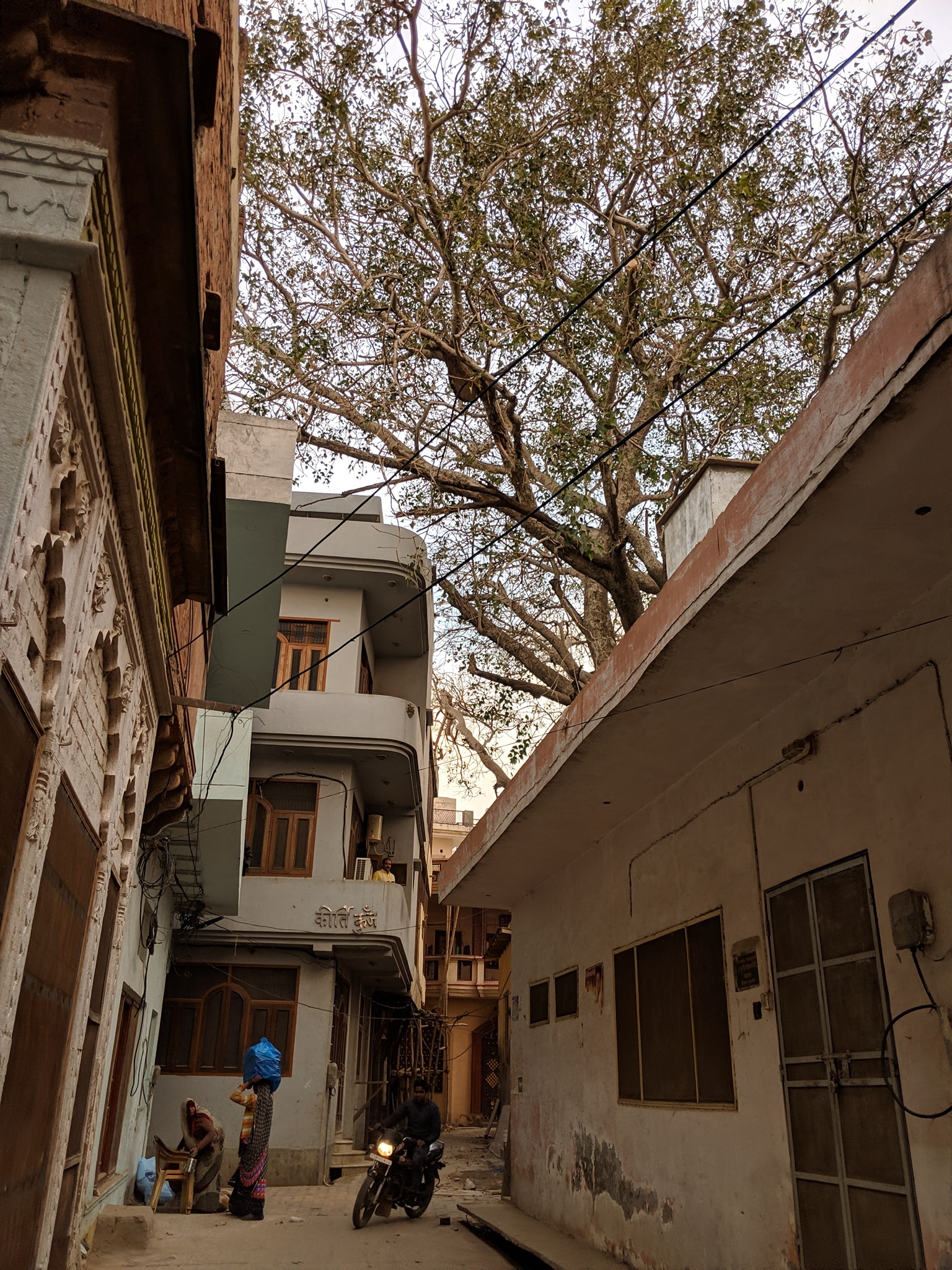 वृंदावन में राधावल्लभ मंदिर के पास की कुंज गली।