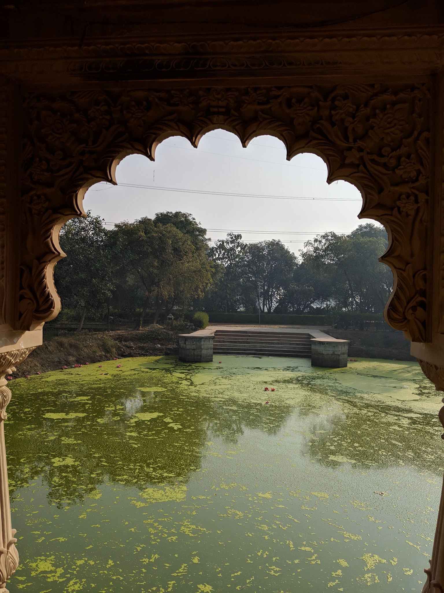 A sunny view of Vrinda Kund from inside Vrinda Devi Temple.