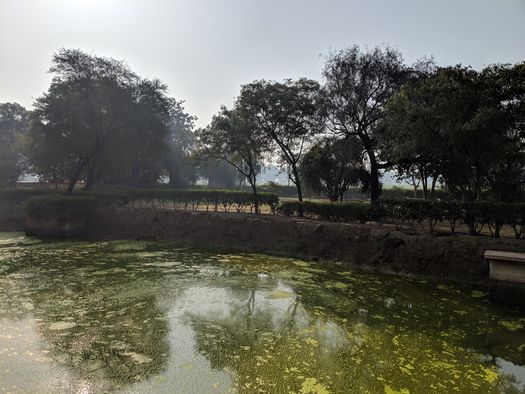 Shadow of trees in Vrinda Kund.