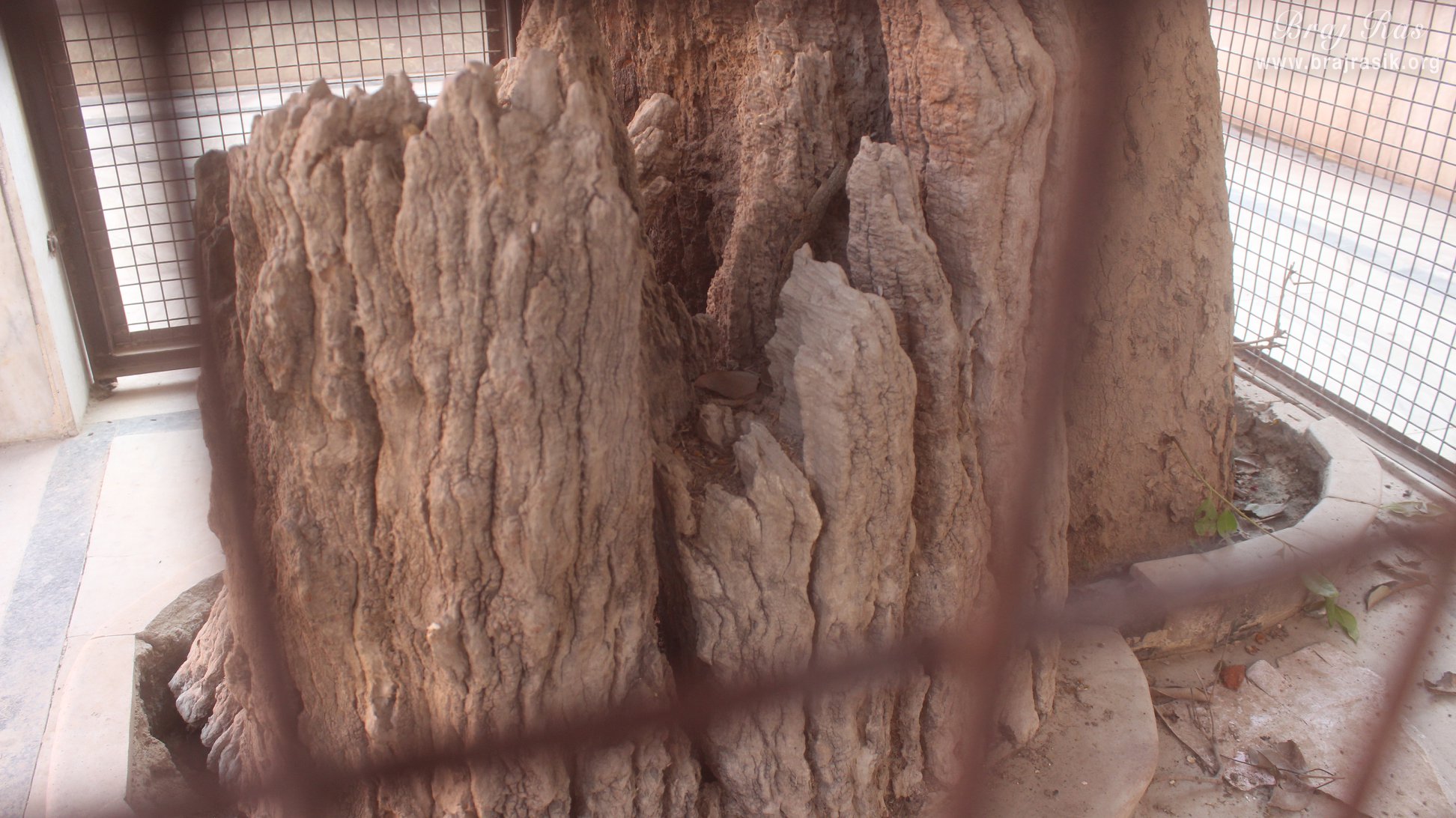 A very close look of Shringar Vat Tree.