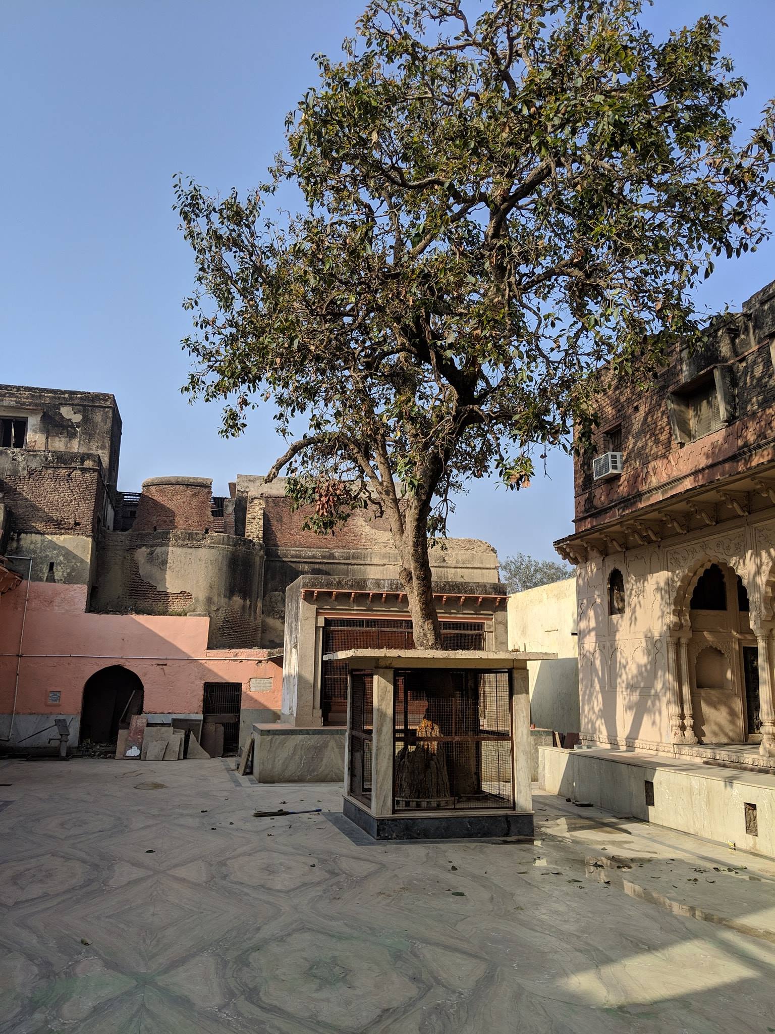 Front view of Shringar Vat Tree