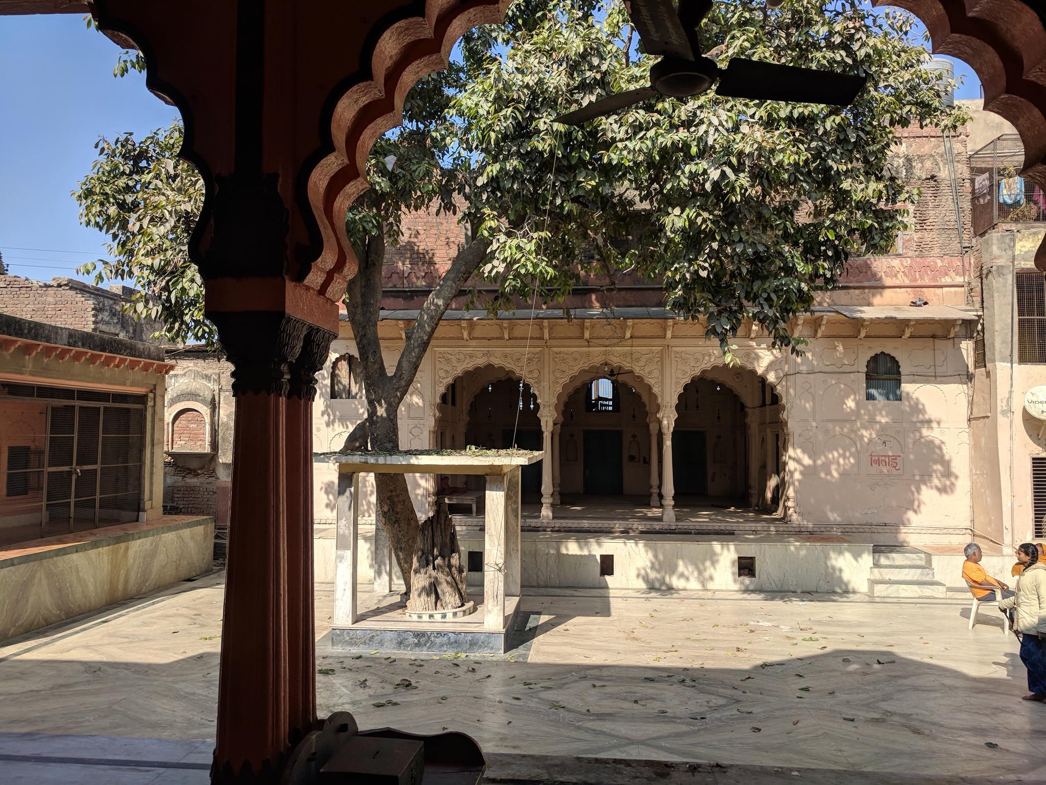View of Shringar Vat Tree from a distance.