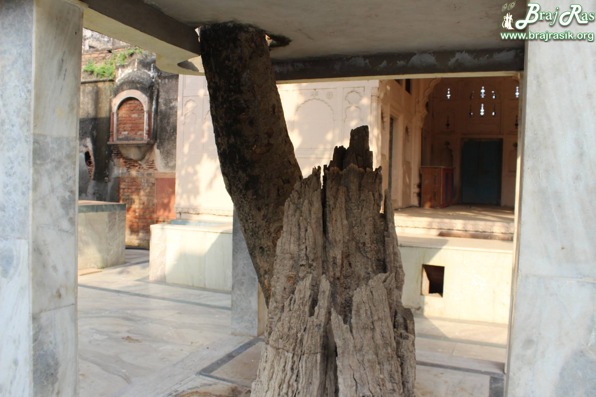Close look of Shringar Vat Tree.