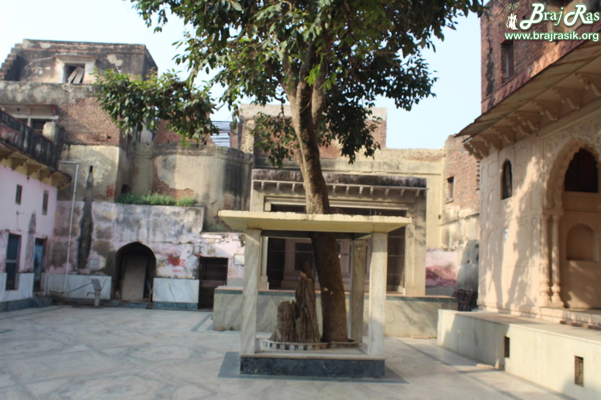 Different angle view of Shringar Vat Tree.
