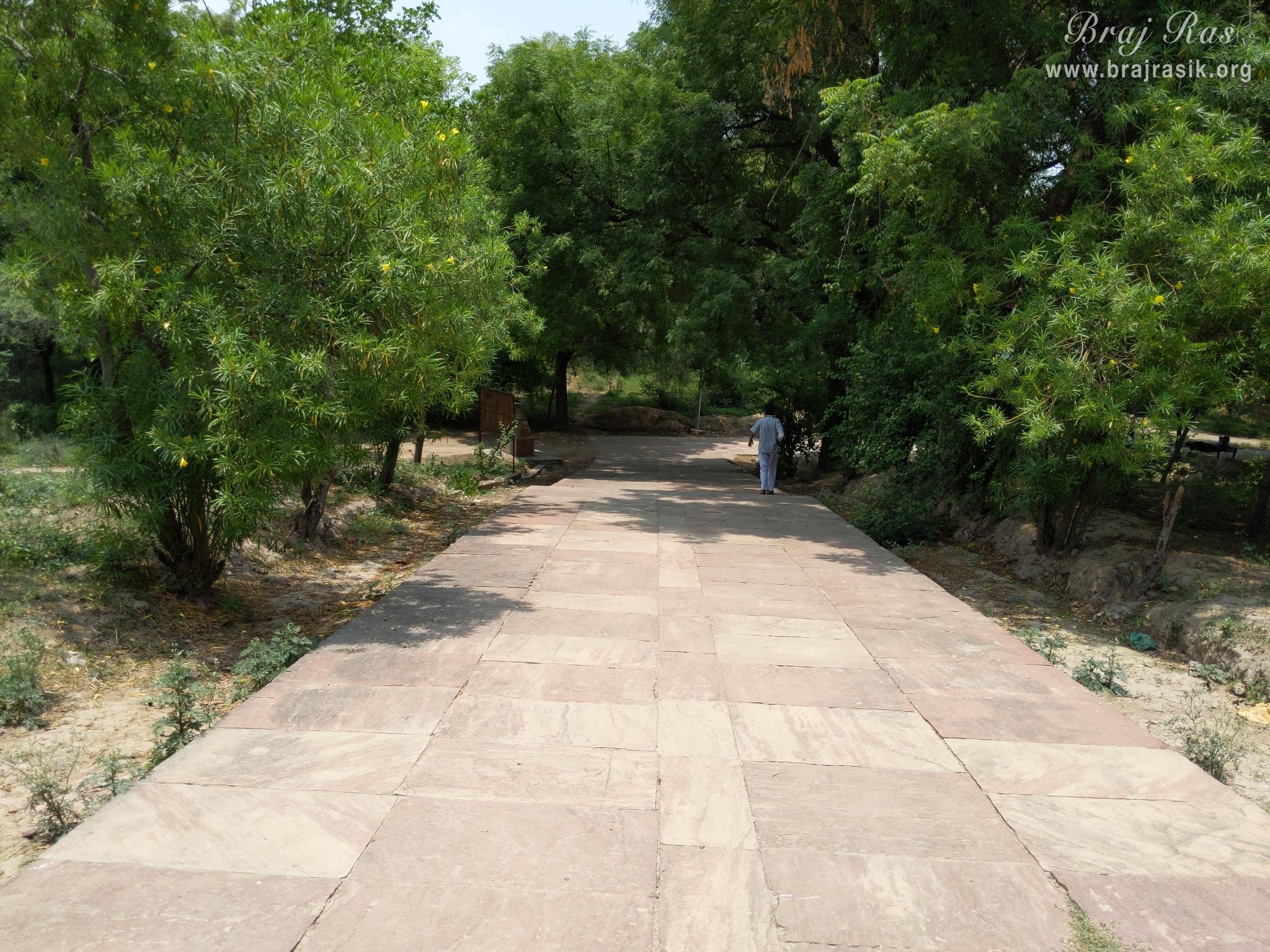 Beautiful path to Raskhan Samadhi.