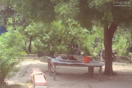 A saint resting under a tree at Raskhan Samadhi Place.