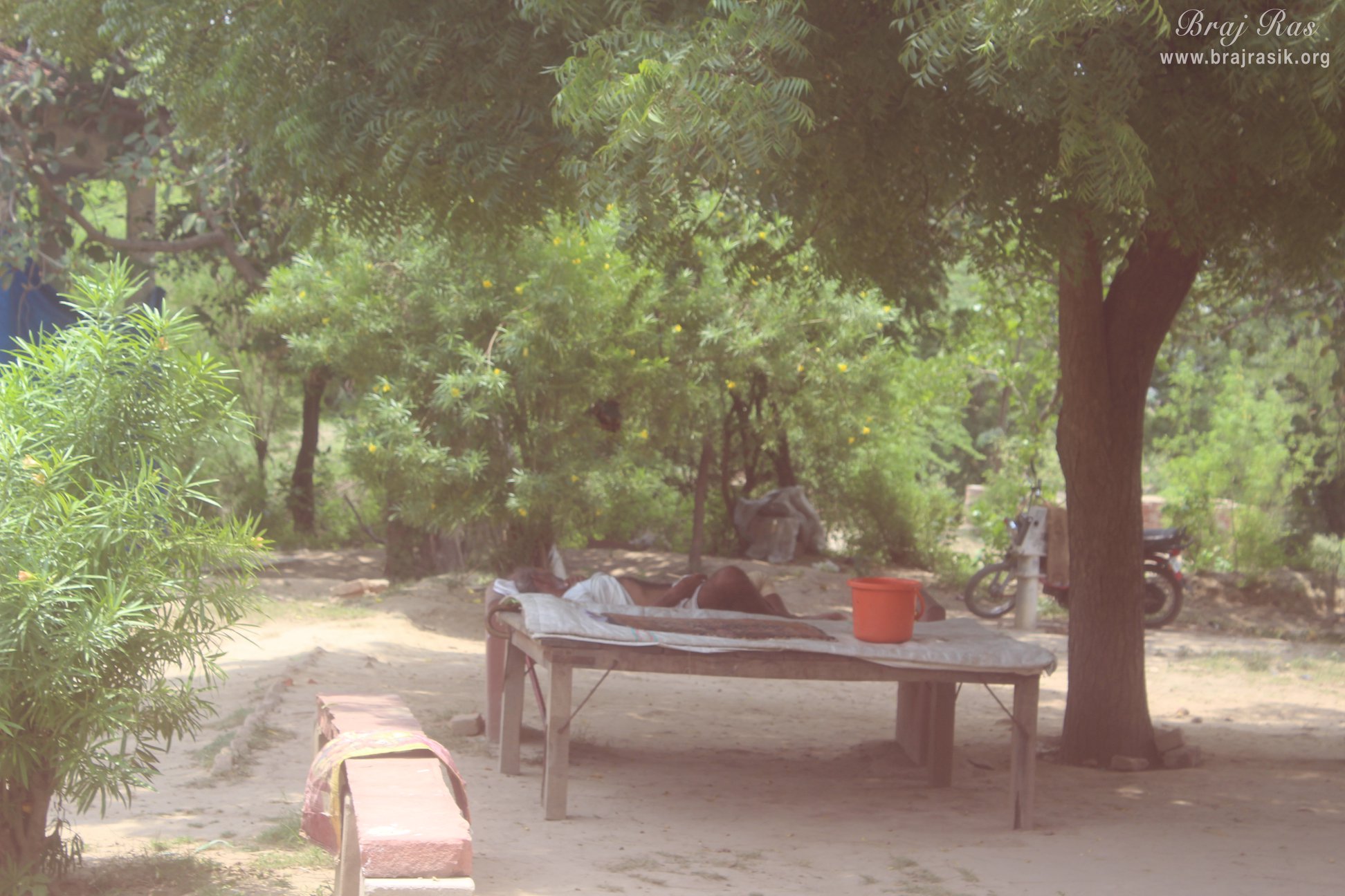 A saint resting under a tree at Raskhan Samadhi Place.